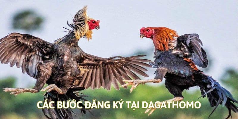 4 bước đăng ký tài khoản tại nền tảng dagathomo