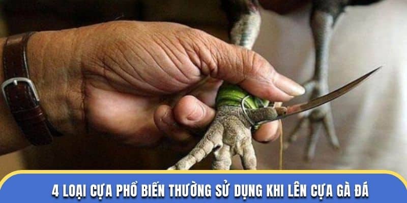 4 loại cựa phổ biến tại đá gà thomo thường sử dụng khi lên cựa gà đá