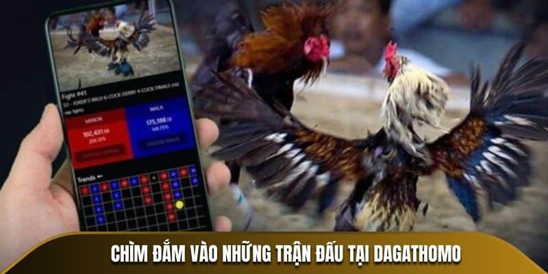 Chìm đắm vào những trận đấu tại Dagathomo