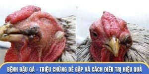 bệnh đậu gà dagathomo