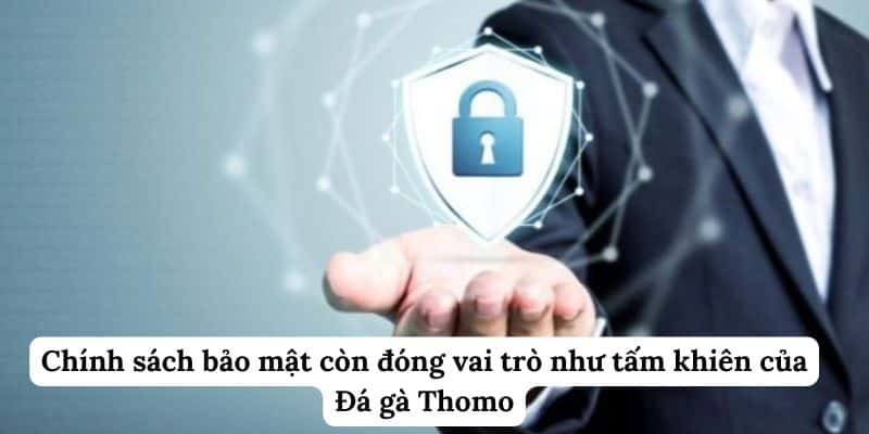 Chính sách bảo mật còn đóng vai trò như tấm khiên của Đá gà Thomo