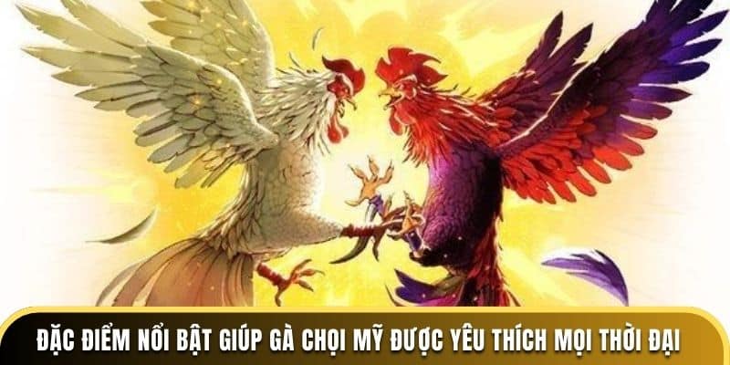 Đặc điểm nổi bật giúp gà chọi Mỹ được yêu thích mọi thời đại
