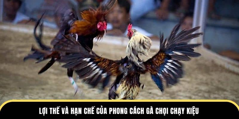 Lợi thế và hạn chế của phong cách gà chạy kiệu tại đá gà thomo
