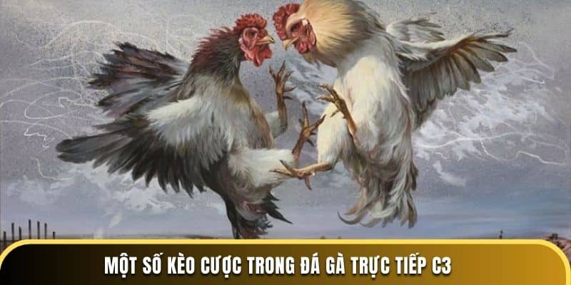 Một số kèo cược trong đá gà trực tiếp C3 