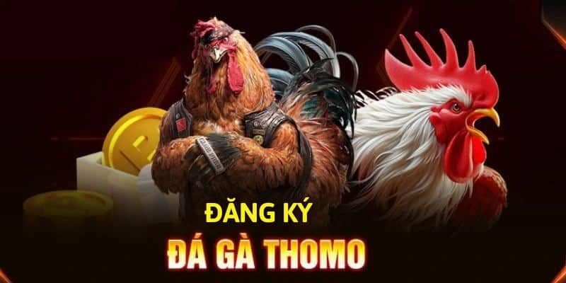 Tạo nick để cược hàng nghìn trận đấu dagaThomo