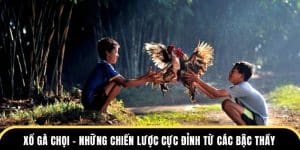 xổ gà chọi tại nhà cái đá gà thomo
